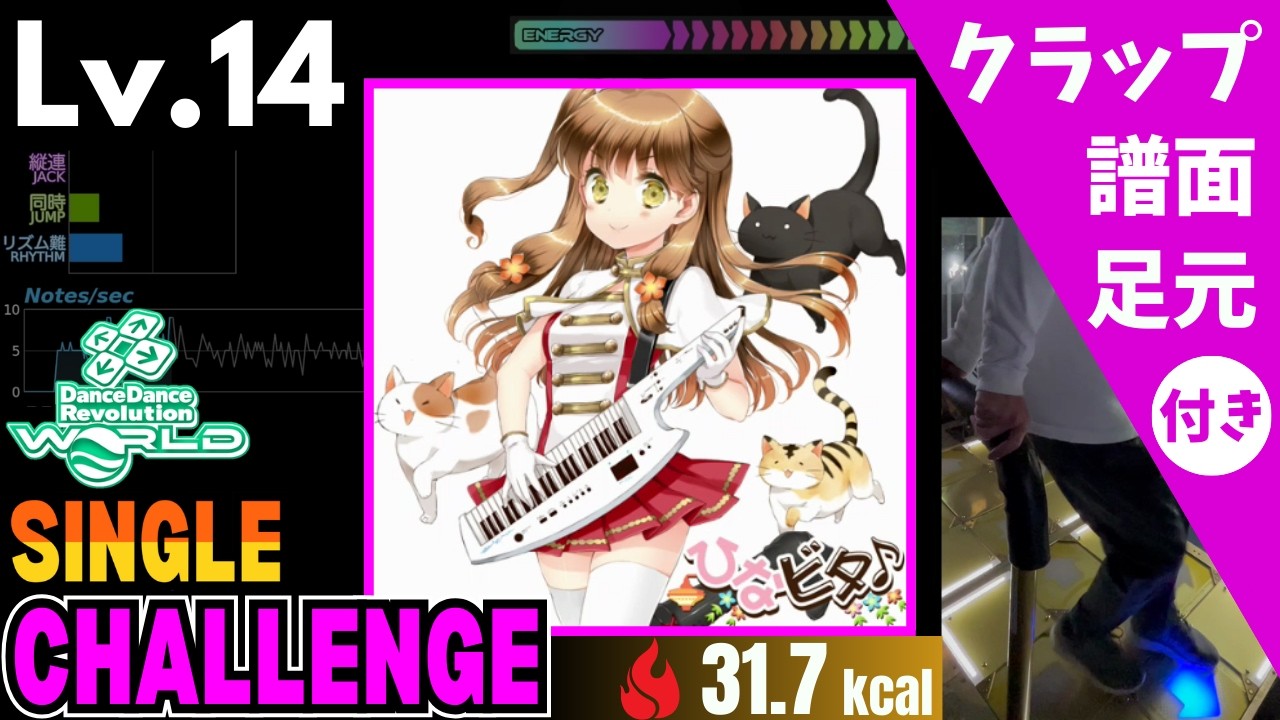 【DDR WORLD】Lv.14 neko＊neko（CSP）【譜面＋足元＋クラップ】