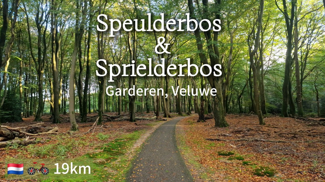 Bikeride: Speulderbos & Sprielderbos one of the oldest, most beautiful forests of the Netherlands🇳🇱