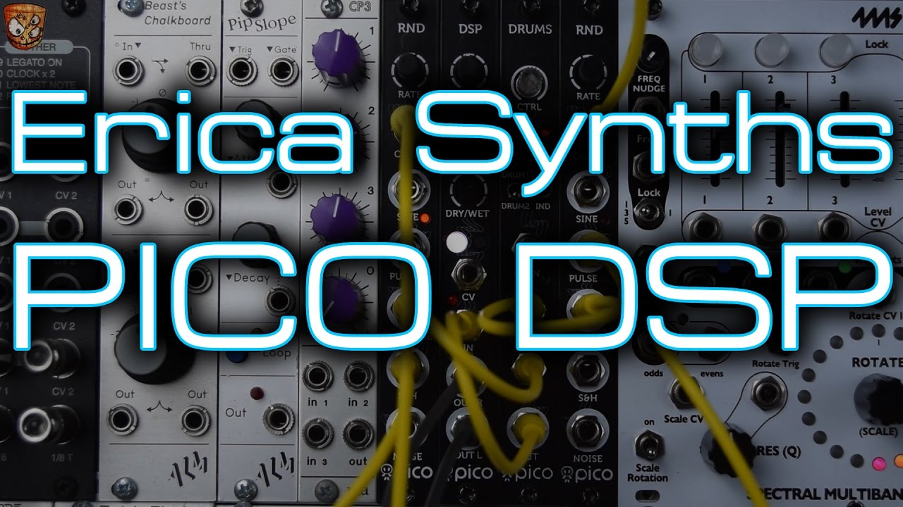 Erica Synths - PICO DSP