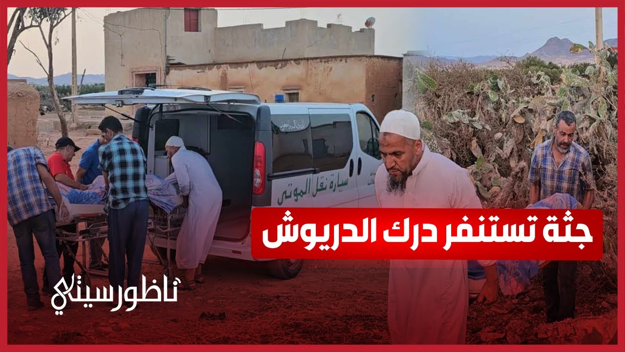 العثور على متشرد جثة هامدة يتنسر سلطات الدريوش