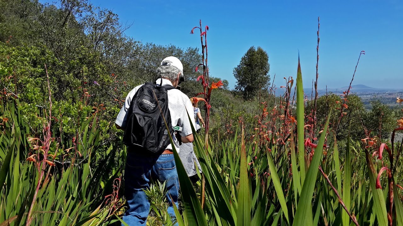 Mooiplaas Hike and Wine Taste