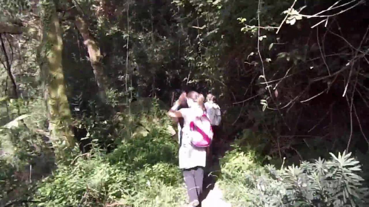 Trekking Portugal @ Uma viagem por C&ecirc;te