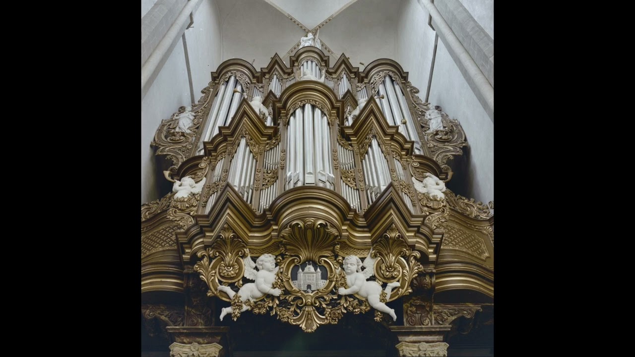 Klaas Bolt improvises on Psalm 42 and plays Baroque organ works at Bovenkerk Kampen