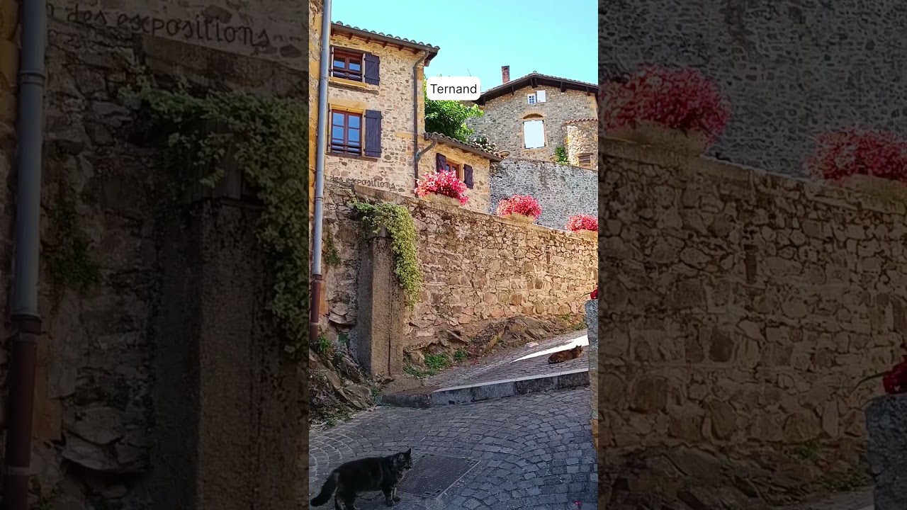 Must-visit Medieval Villages near Lyon, France #travel #frenchvillage #lyon
