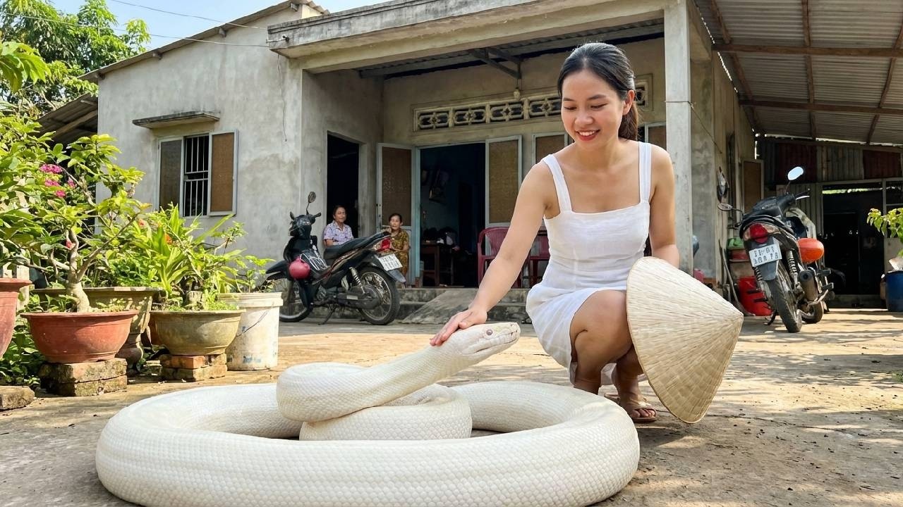 Một Hành Động Nhỏ Năm Xưa Và Chuỗi Nhân Quả Khiến Cả Làng Suy Ngẫm