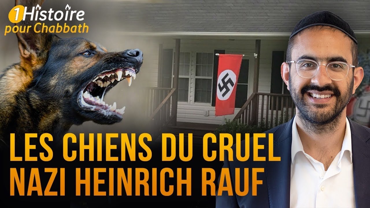 LES CHIENS DU CRUEL NAZI "HEINRICH RAUF" DE MÉMOIRE MAUDITE 🔥🔥🔥 L'HISTOIRE de Binyamin Benhamou