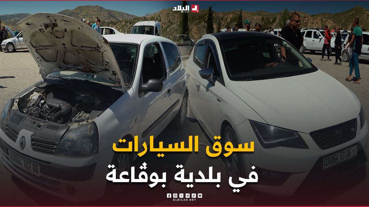 autovortex| سوق السيارات في بلدية بوقاعة