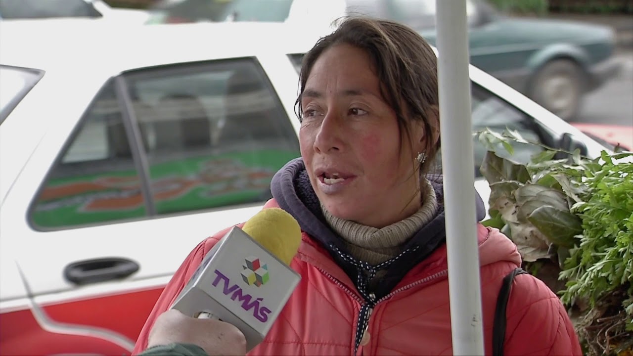 Veracruz Agropecuario - Mercado La Rotonda en Xalapa