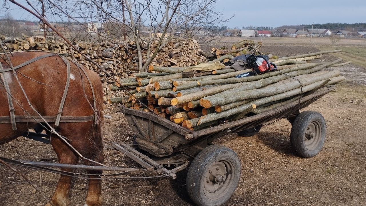 Їдимо заготовляти дрова 🌲 Пилка AL-KO BKS 3835 I. Огляд пилки.