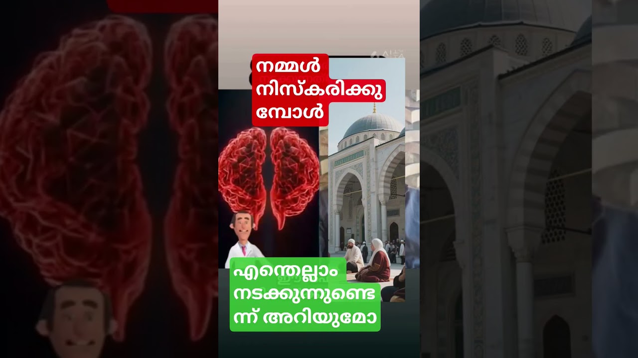 നിസ്കാരം കൊണ്ടുള്ള ഗുണങ്ങൾ #livespeech #voiceofshafeekfazilyparakkulam #motiationalspeech