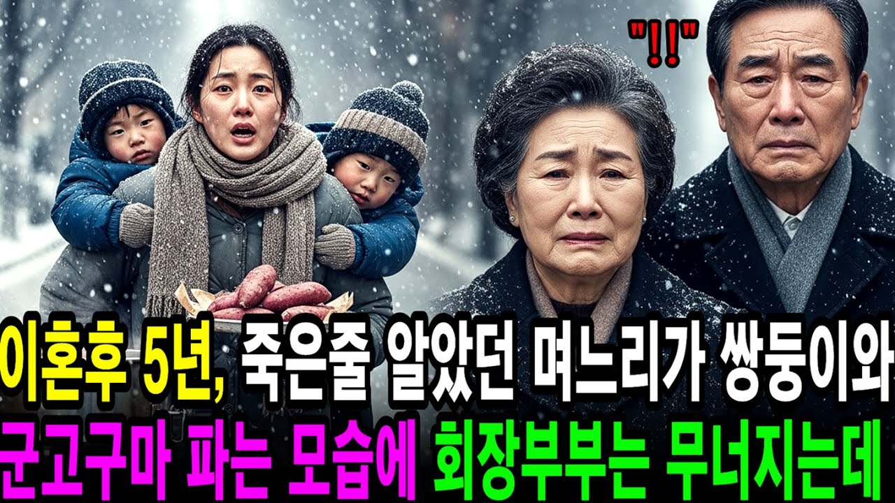 이혼 후 죽은 줄 알았던 며느리, 눈 오는 거리에서 쌍둥이를 업고 군고구마를 파는 모습을 본 순간, 백만장자 재벌회장 부부는 무너지는데｜노후사연｜감동사연｜사연라디오｜오디오북