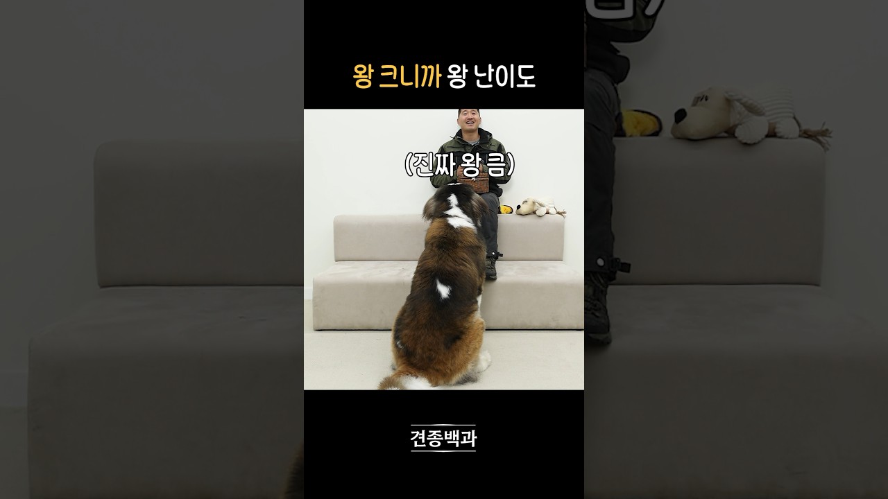 100키로 까지 큼