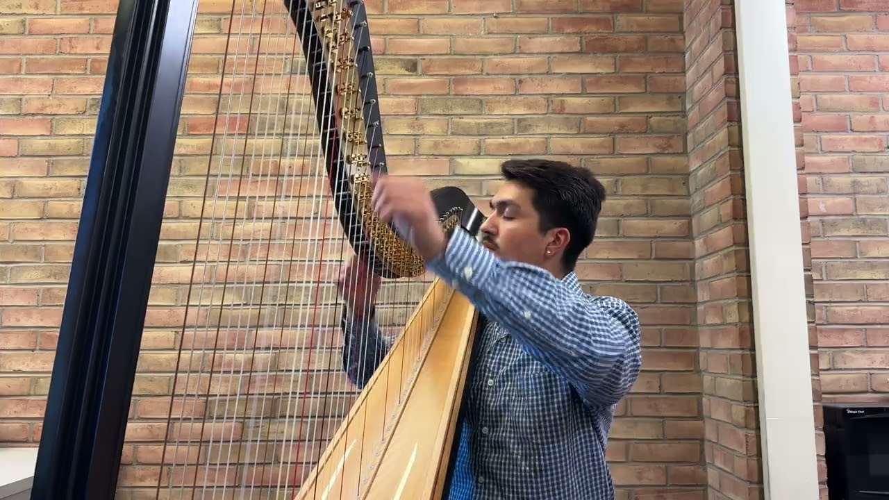 Concert Fantasy on Pájaro Campana – Juan Riveros