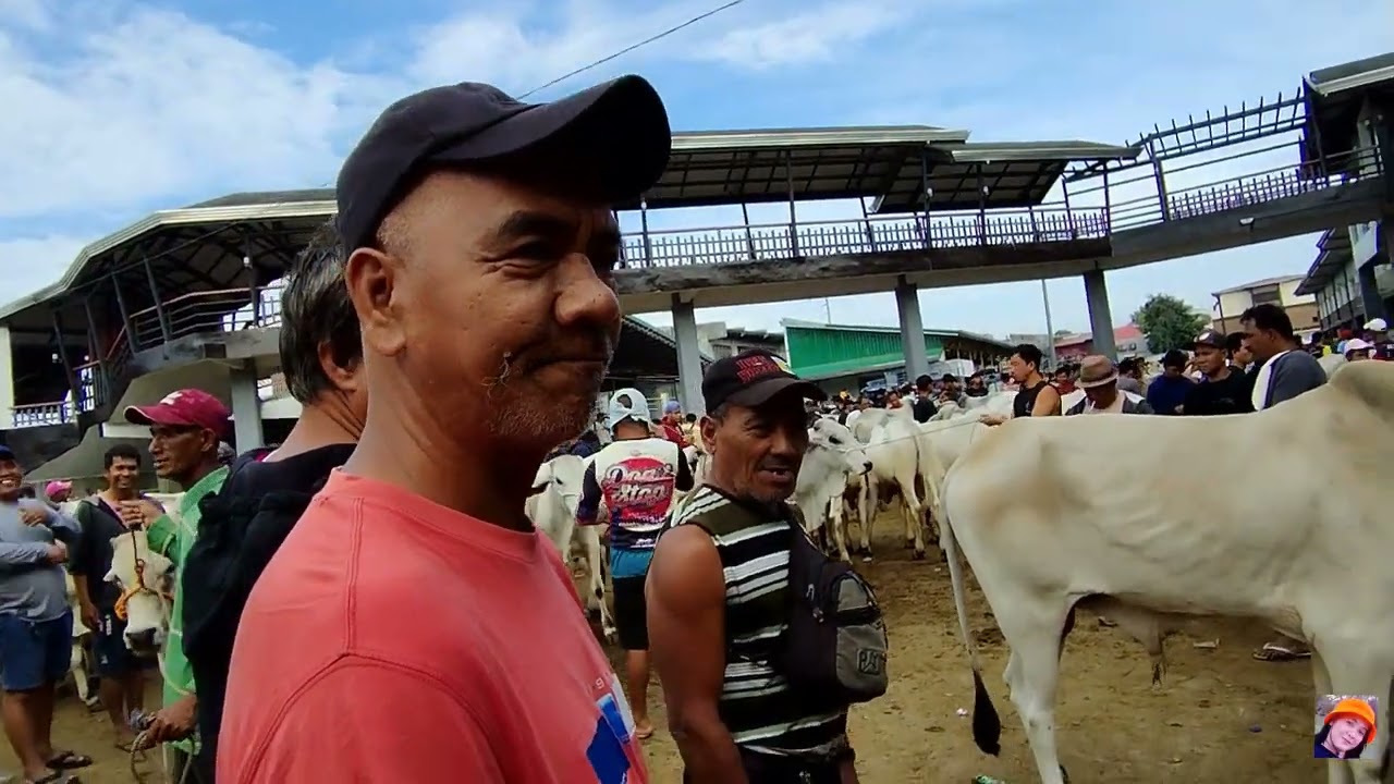 Presyo ng mga patabain baka dito sa Padre Garcia livestock auction market 