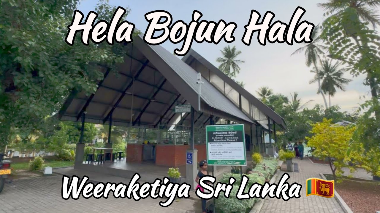 Hela Bojun Hala | Weeraketiya Sri Lanka