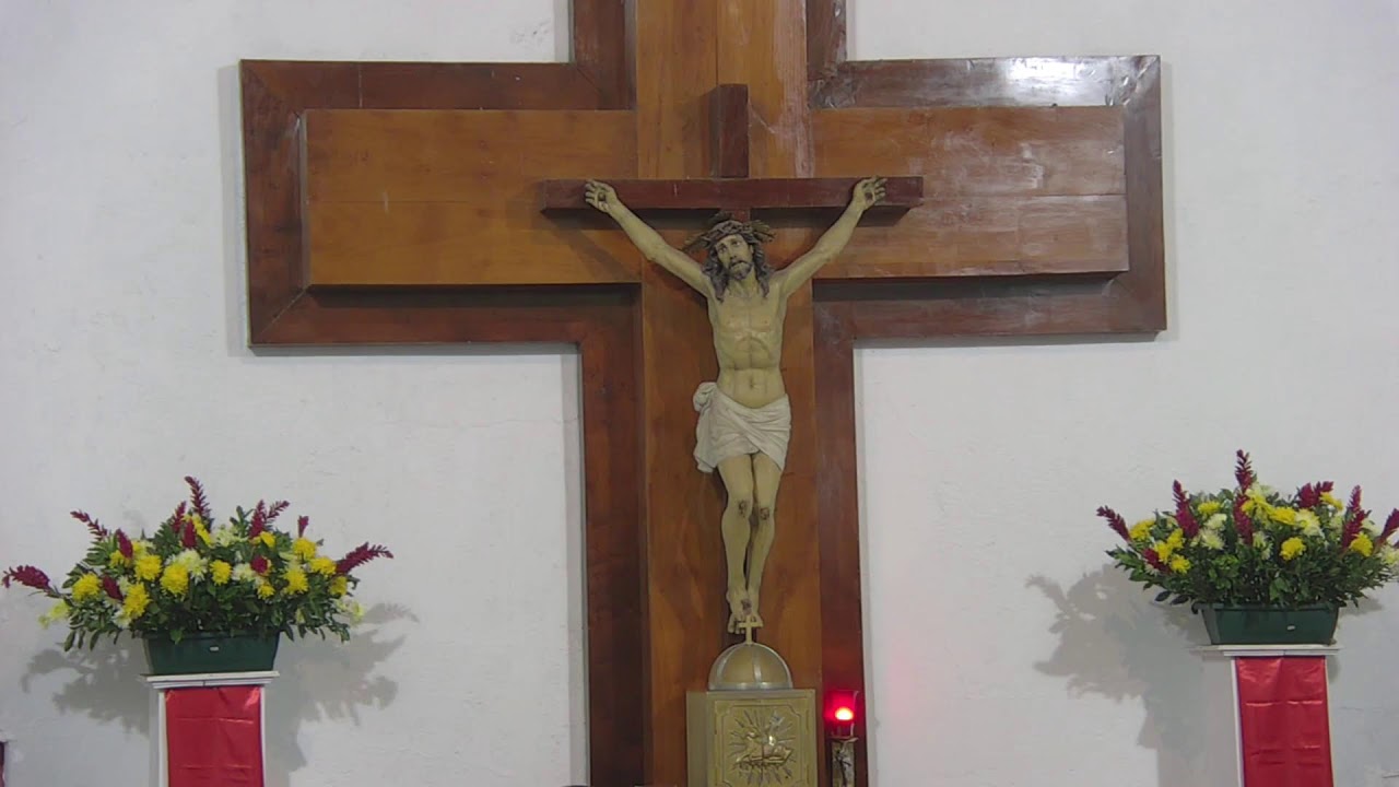 Santa Eucaristía - 07-02-2026.