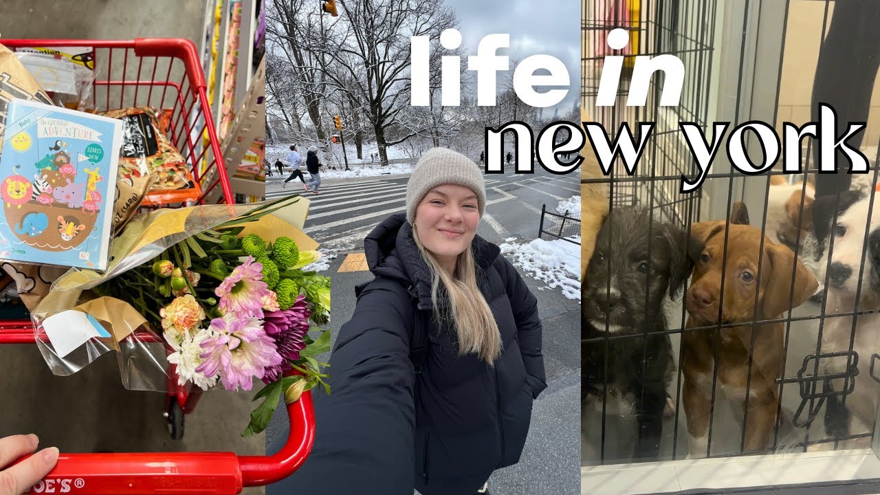 LIFE IN NYC | Snow day in Central Park, volunteering at the animal shelter, Trader Joe's run