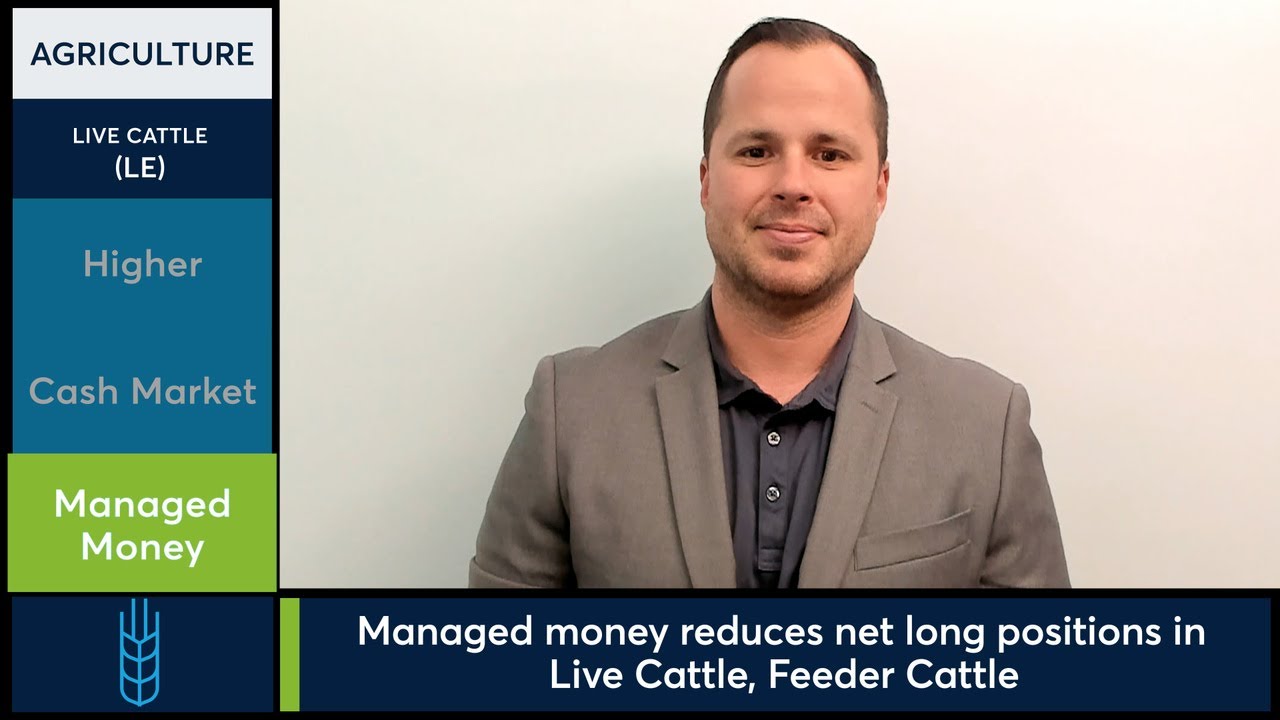 Funds reduce net long positions in Live Cattle, Feeder Cattle. 4/15/25