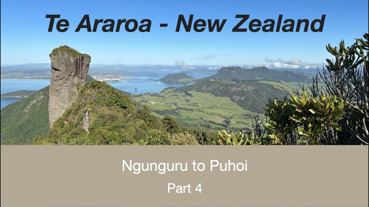 Ngunguru to Puhoi - Te Araroa (Part 4)