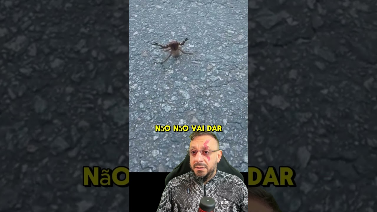 Foi pegar aranha armadeira na m&atilde;o....