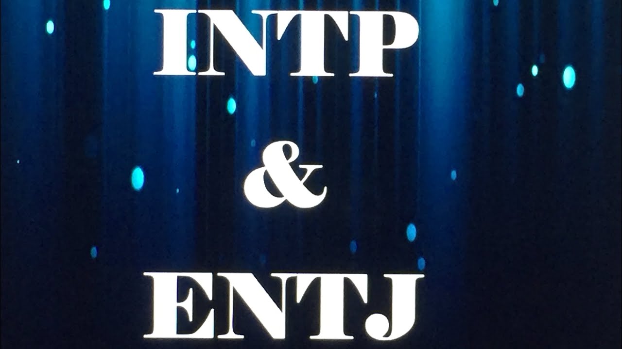 INTP & ENTJ Relationship