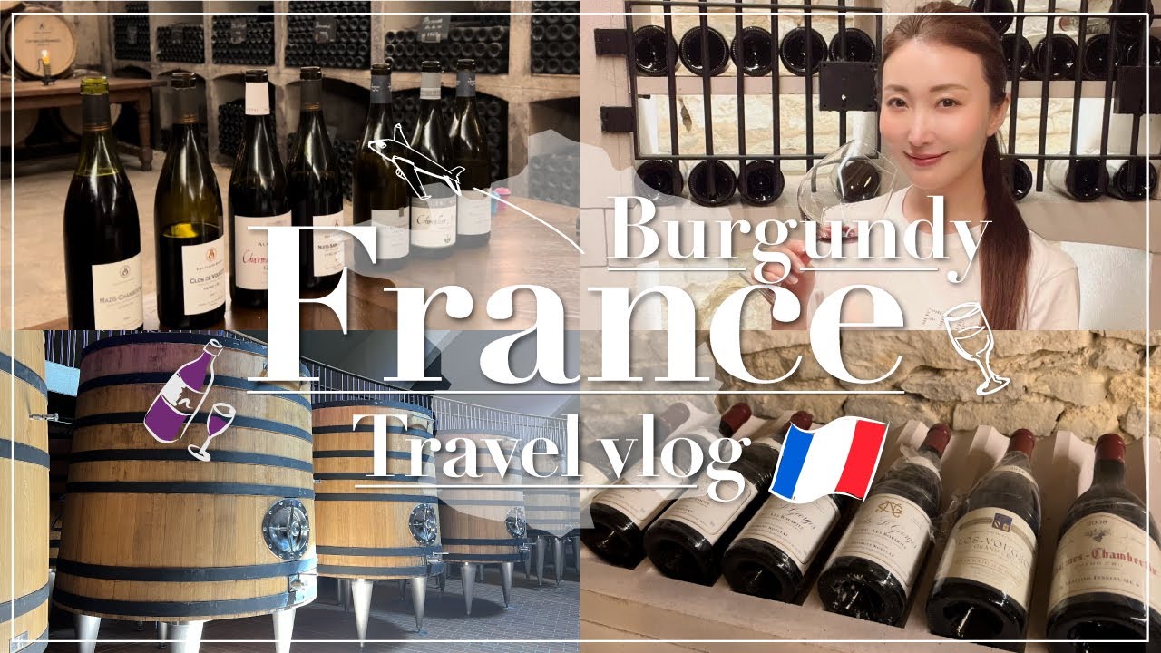 【海外旅行VLOG】夏休みのブルゴーニュワイナリー巡り/畑見学・試飲・ワイン購入【France】