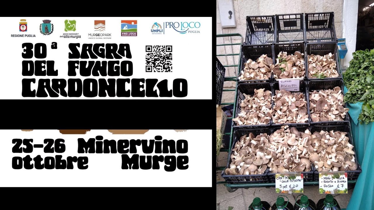 30^ Sagra del Fungo Cardoncello    25 26 ottobre 2025   Minervino Murge