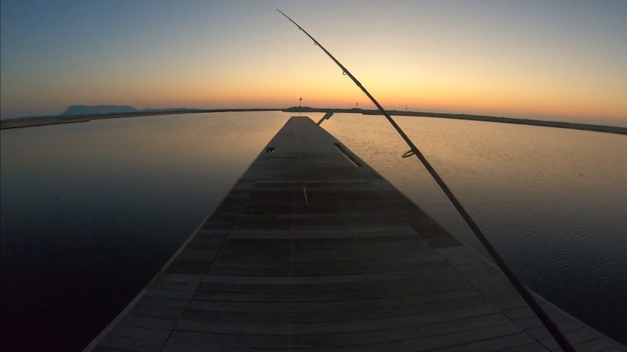 PREDATORI INASPETTATI - FISHING IN PARADISE 😎 SARDEGNA #11