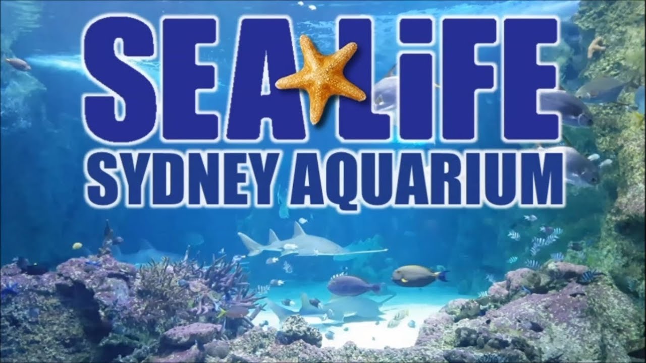 Sydney Sea life Aquarium