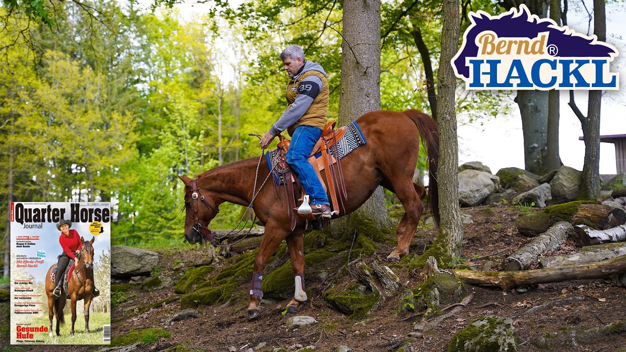Arbeit im Gelände mit Bernd Hackl 🐴 #1