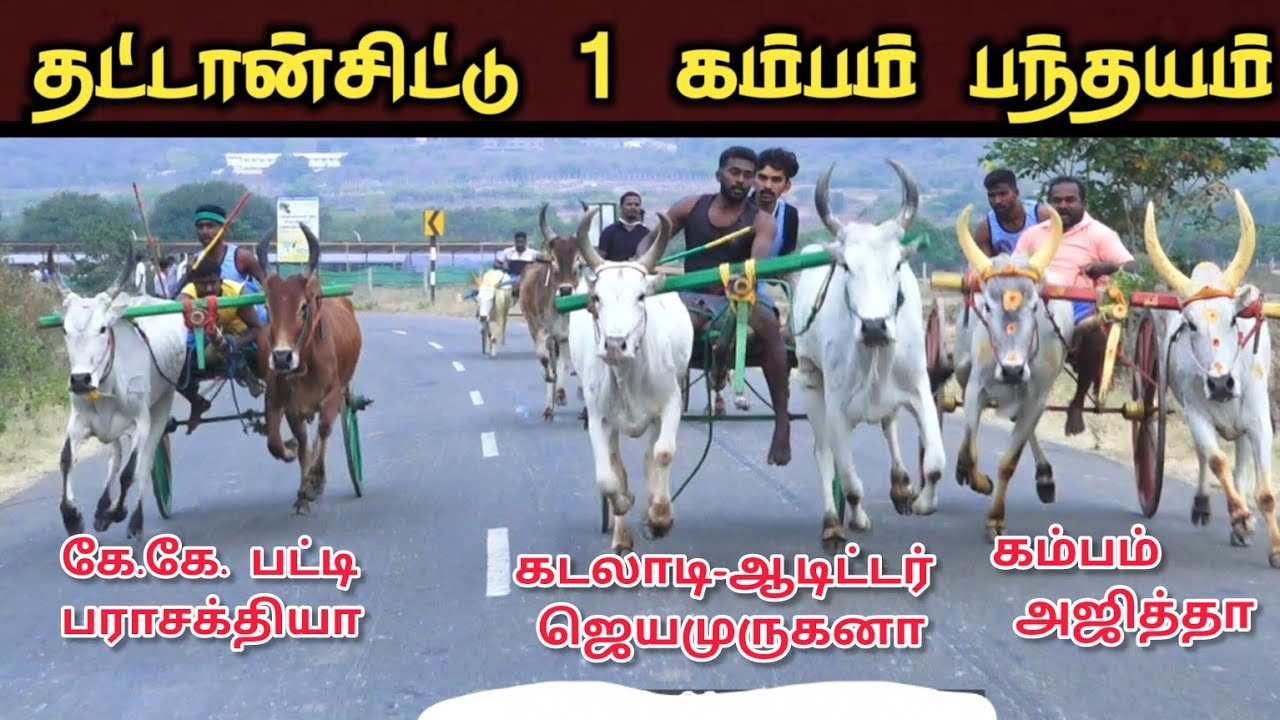 22-2-2026 தட்டான் சிட்டு முதல் சுற்று  கம்பம் 