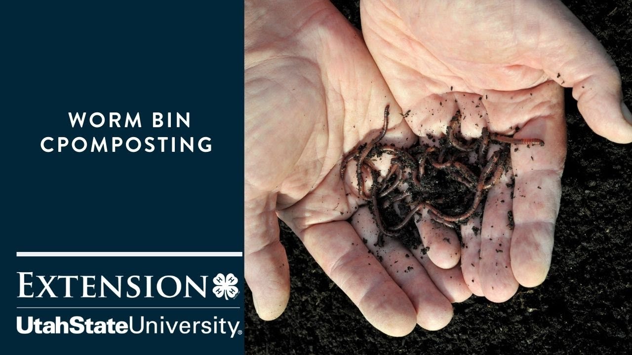 Worm Bin Composting Webinar