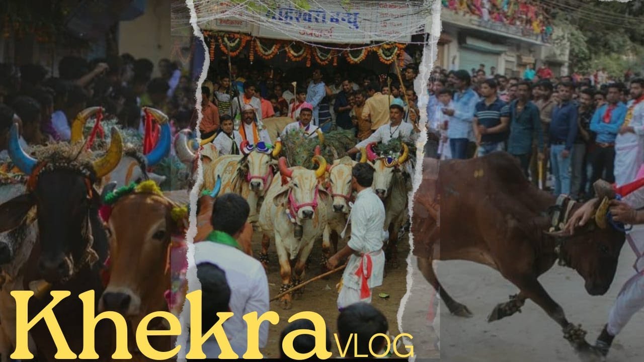 Khekra VLOG Nathdwara #trend #minivlog #udaipurvlogs #indianfestival #vlog #hindufestival #khekra