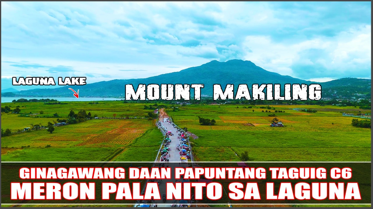 LAGUNA LAKESHORE ROAD NETWORK PROJECT | CALAMBA BUCAL BYPASS ROAD UPDATE