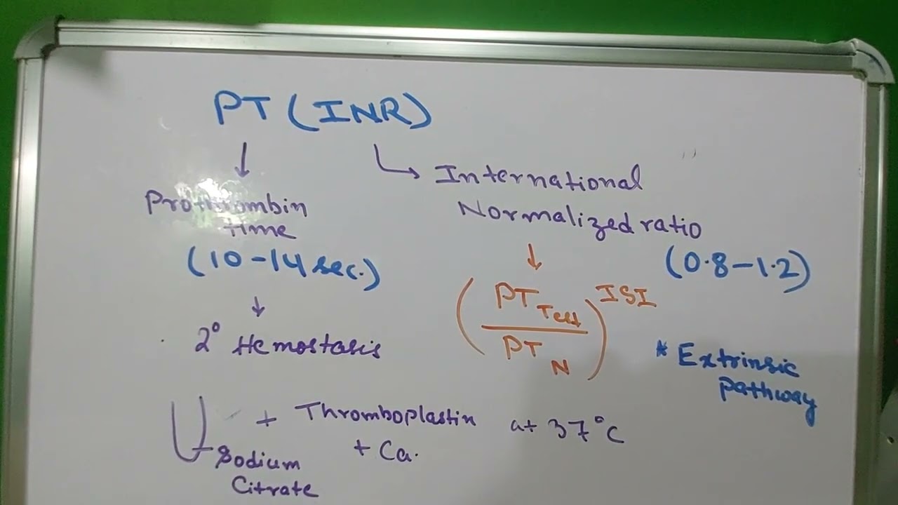 PT(INR)