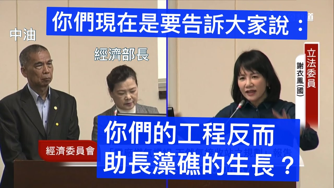 （🔥🔥🔥）國民黨 謝衣鳳 質詢 經濟部 中油 #藻礁 #三接 #馬英九 #賴清德 #蔡英文 20210324 經濟委員會 立法院演哪齣