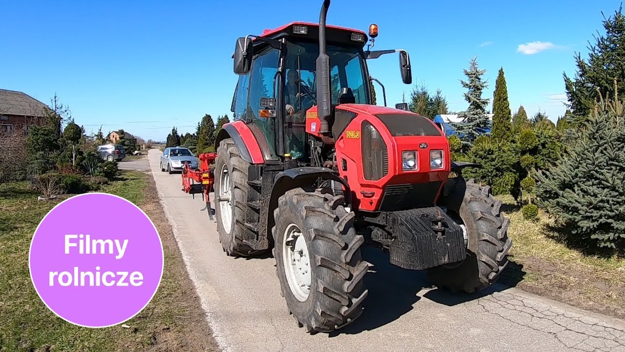 Traktor MTZ Belarus 1523.3 na 70 hektarach warzyw
