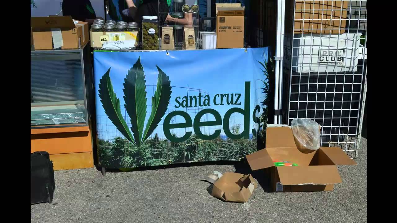 1000 Watts Magazine Presents High Times Medical Cannabis Cup LA 2015 3