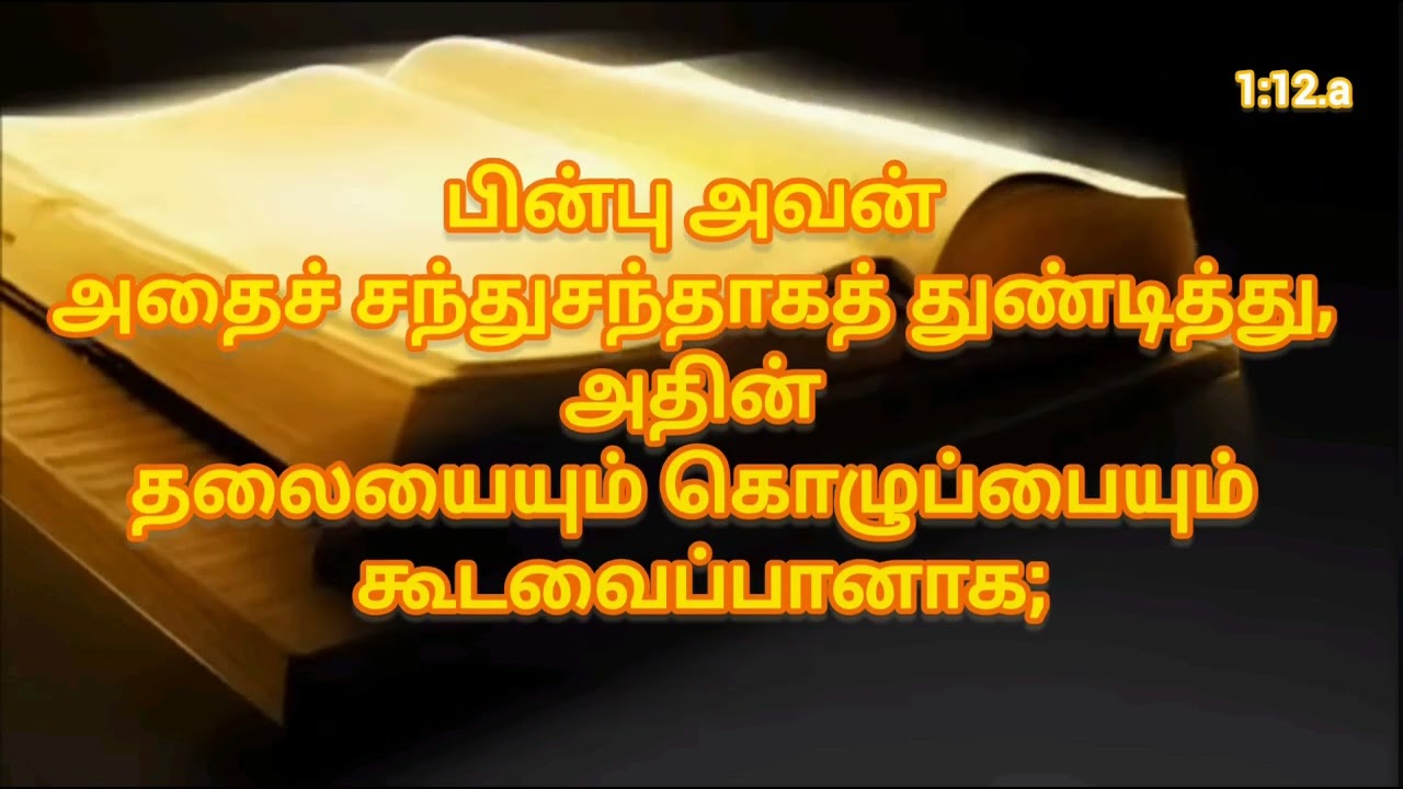 லேவியராகமம் 1 