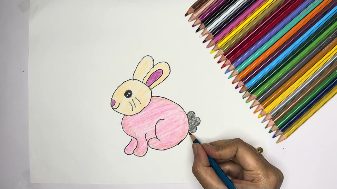 Cute Rabbit Drawing for Beginners | Easy Bunny Drawing Step by Step 🐰✏️