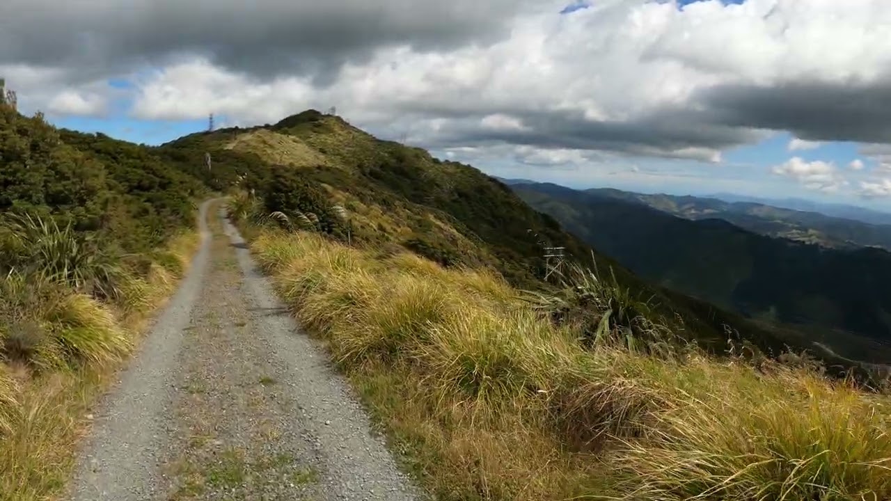 Mt Climie Track, Pakuratahi Forest, Upper Hutt