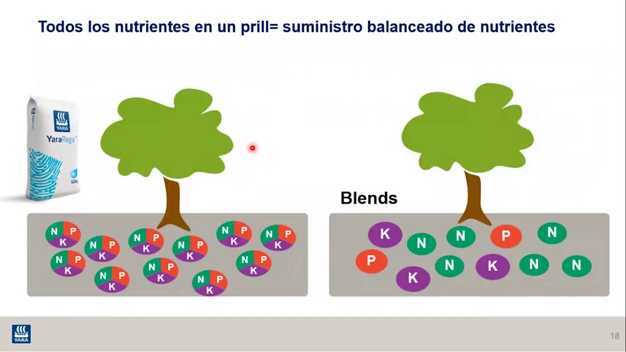 CAM - YaraRega nuevo concepto de fertilización.