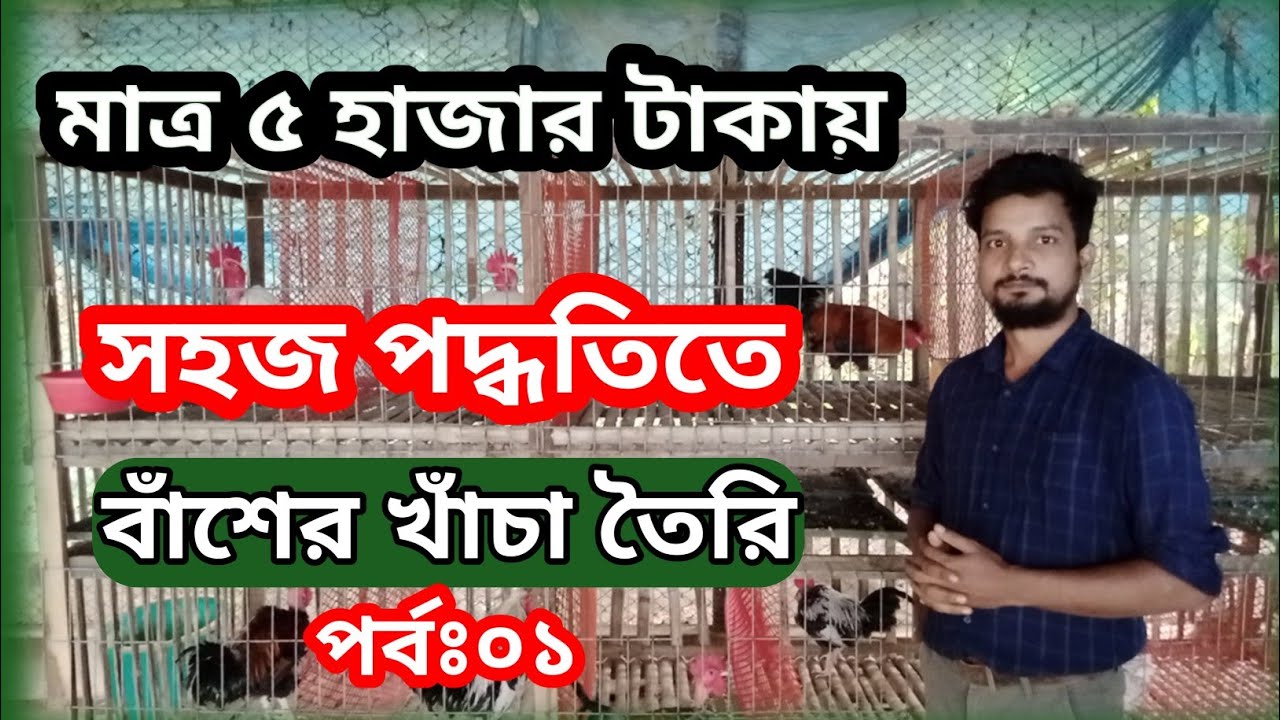 ৫ হাজার টাকায়, ৬০ পিছ দেশি প্যারেন্টস মুরগির খাঁচা তৈরি #shakilfarming #khachamurgipalon #murgi