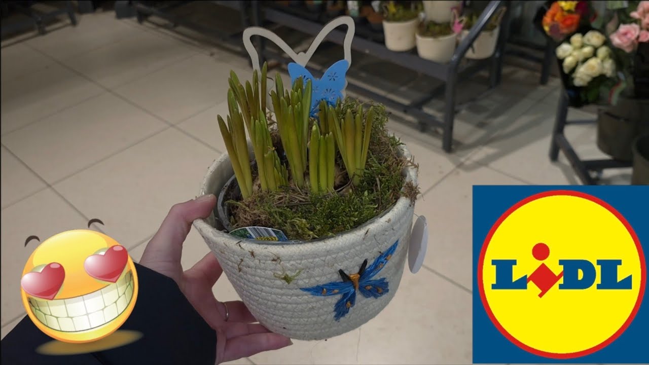 ARRIVAGE LIDL 29 JANVIER 2026