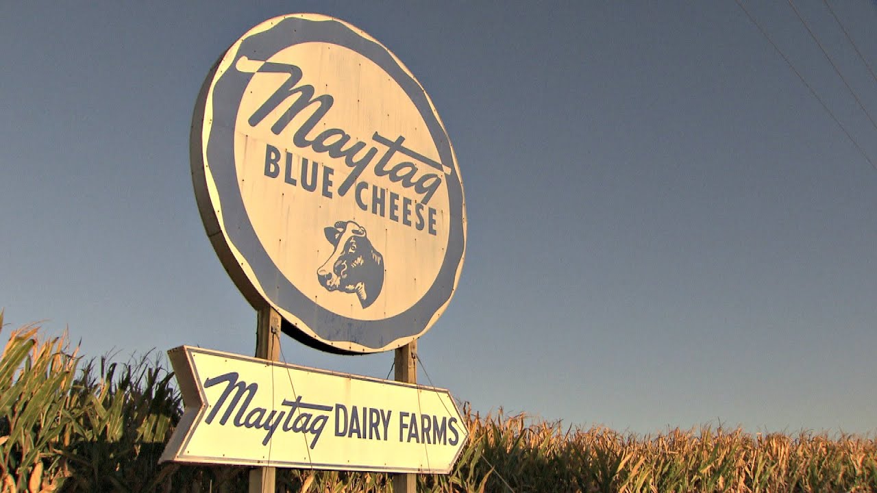 Maytag Blue Cheese in Newton