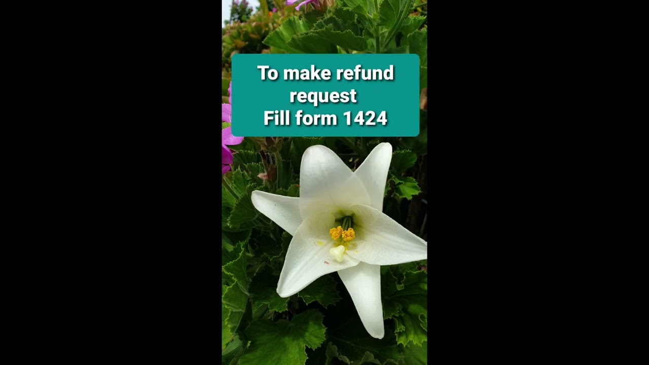 Will my visa application fee refund if nomination is rejected?