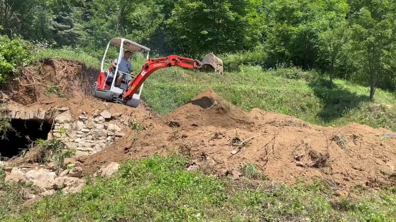 Gondolatok, egy őzbak 