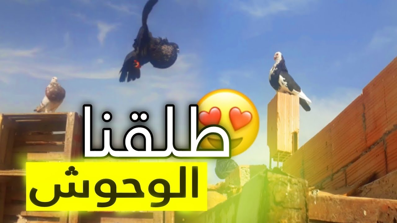 زيارة صديق : طلق أخطر دكور لي عندو ف سجنة  😱☝ميمكنش تبارك الله 🔥🔥وتوليعة فحمام سباق 😍
