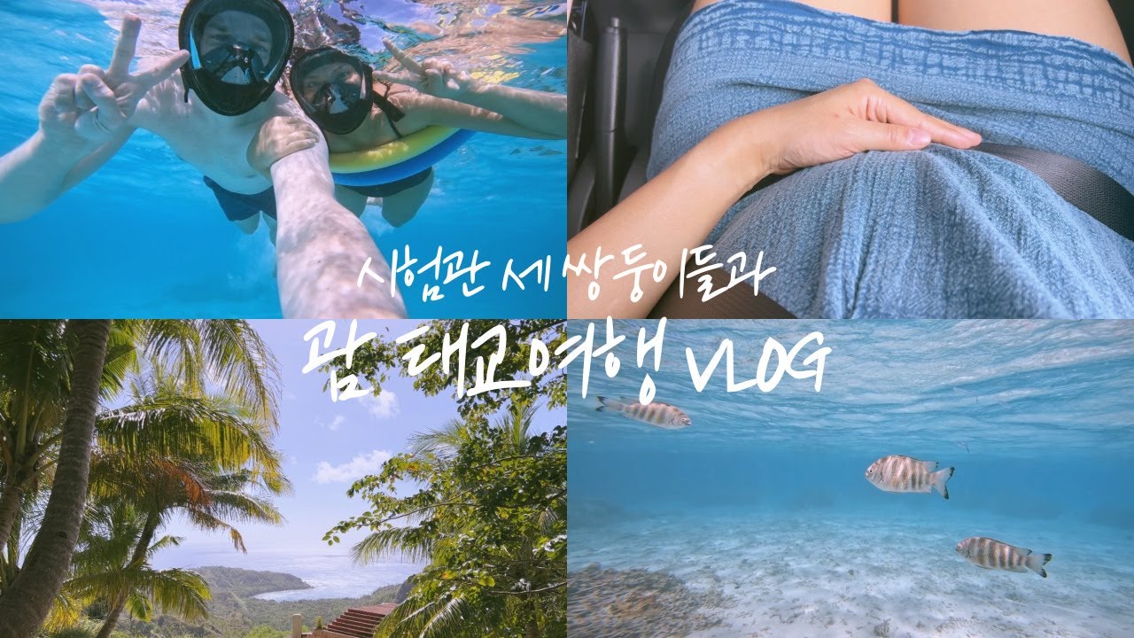 시험관 세쌍둥이들과 괌 태교여행🌴 | 미국 영구영주권 받았어요 | 시험관 임신 | 조기폐경 | 일상 브이로그 | 시험관 브이로그 | 임신 브이로그 | 난임 브이로그 | 괌 롯데호텔