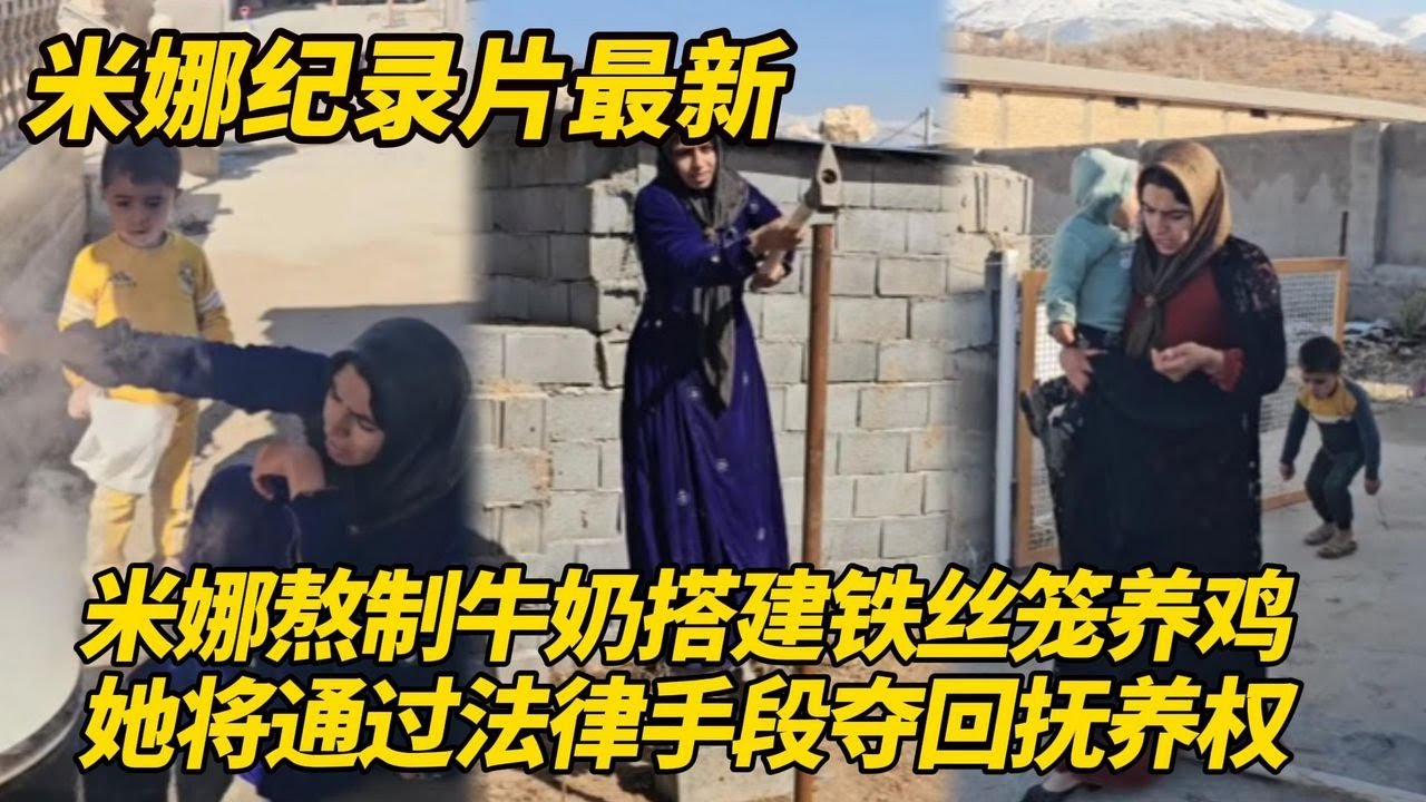 米娜熬制牛奶搭建铁丝网准备养鸡！将通过法律手段从卡迪尔手里夺回孩子抚养权！#纪录片 #伊朗游牧民生活